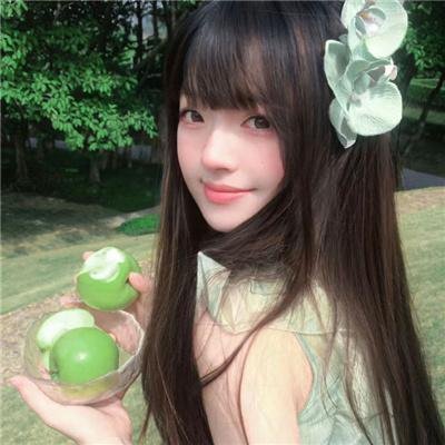 焦头烂鹅